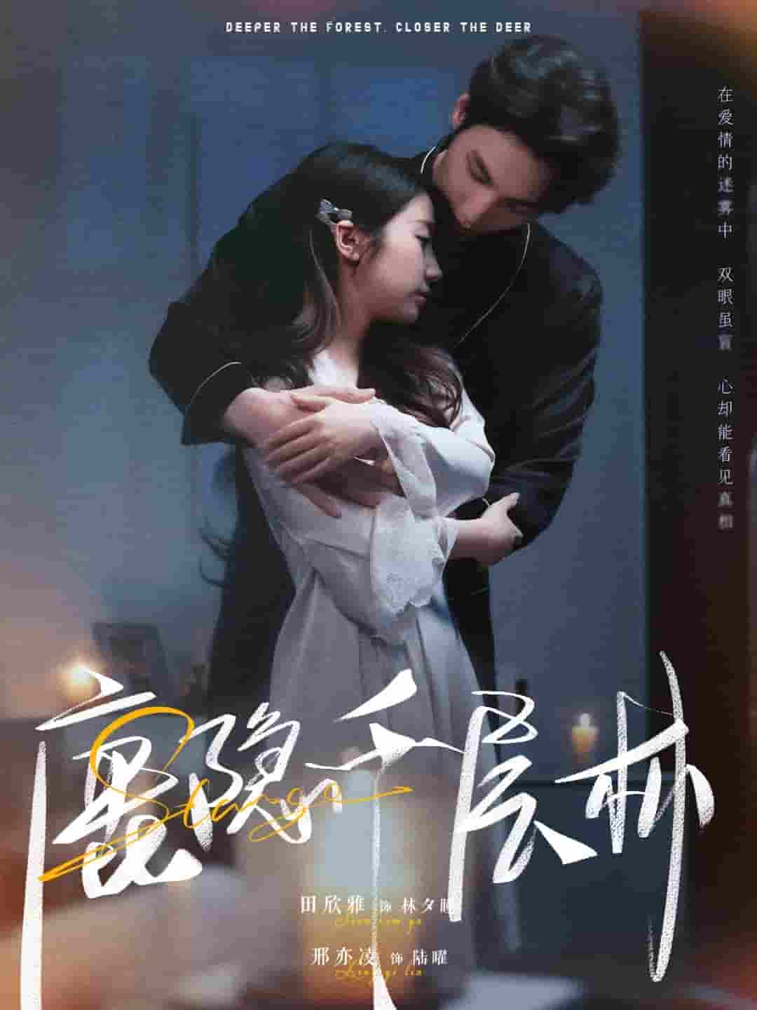 鹿隐千层林(全集)