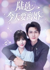 陆总今天要离婚(全集)